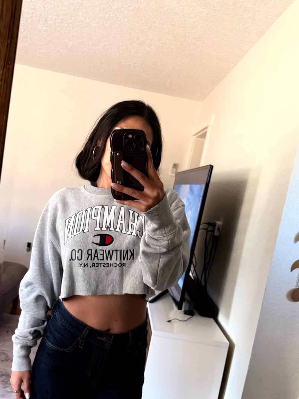 Champion Cropped Logo Sweatshirt in Light Gray